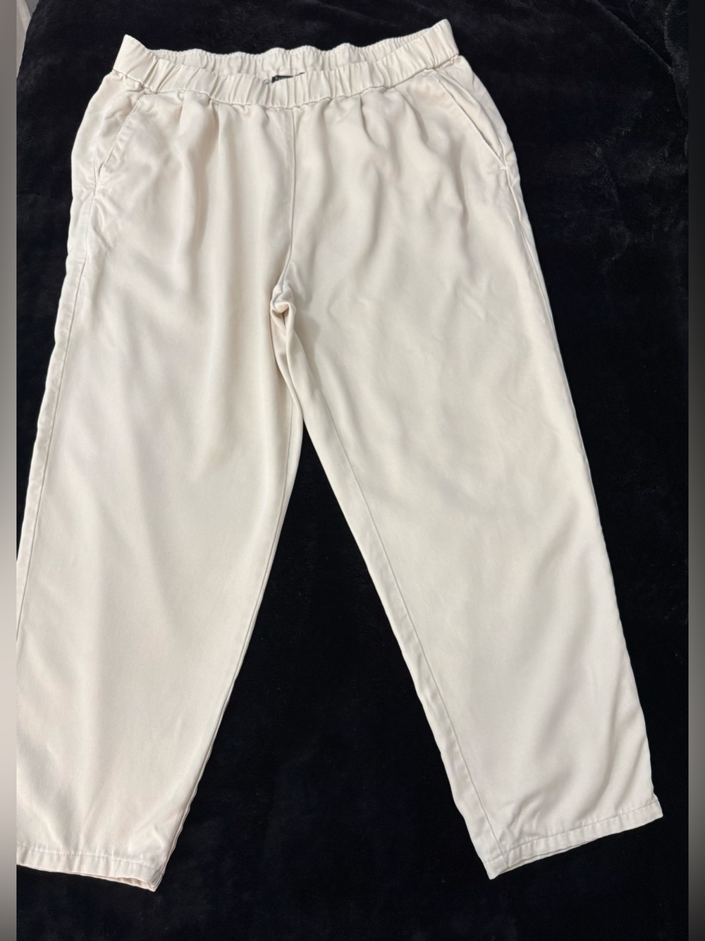 Eileen Fisher Ivory Tan Tencel  Pants Small Ankle Size Large